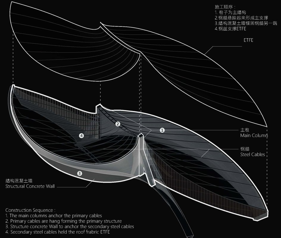 The Folium