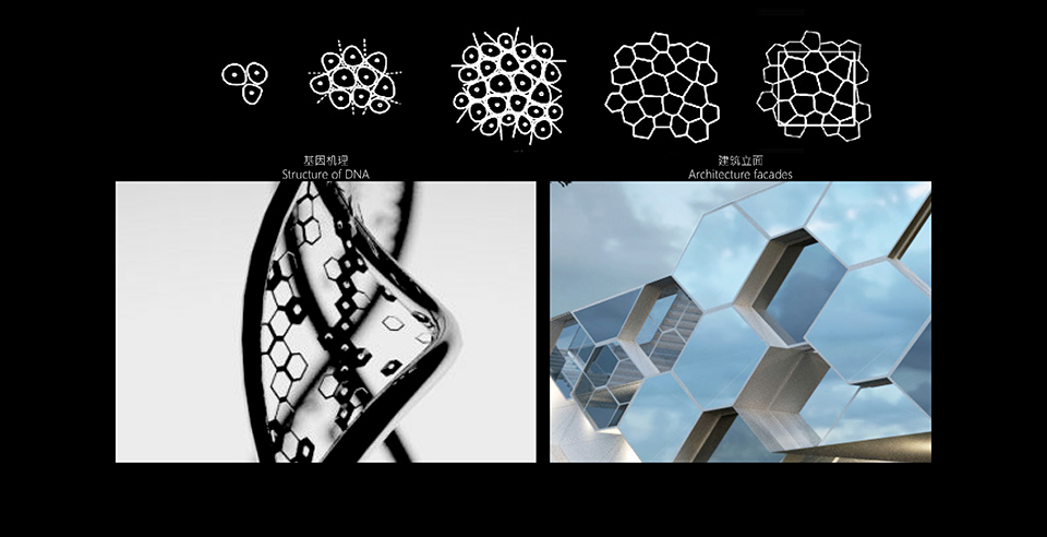 DNA of a Metropolis