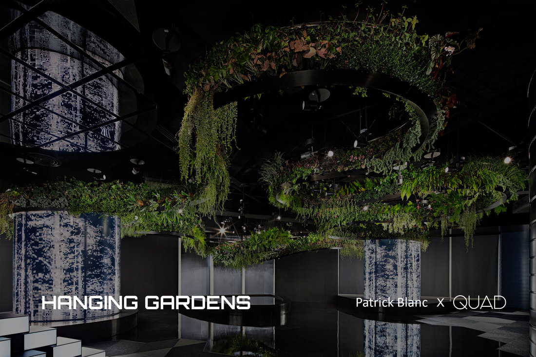 The Hanging Garden