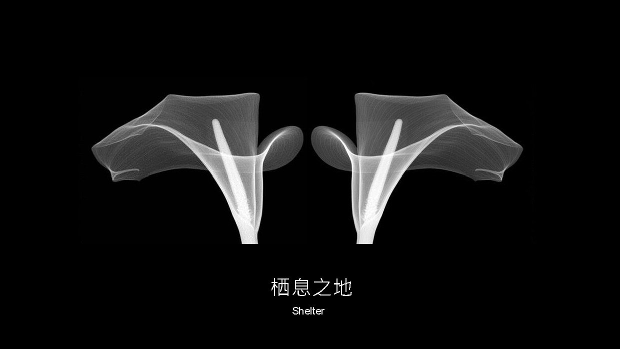 深圳友誼城改造項目